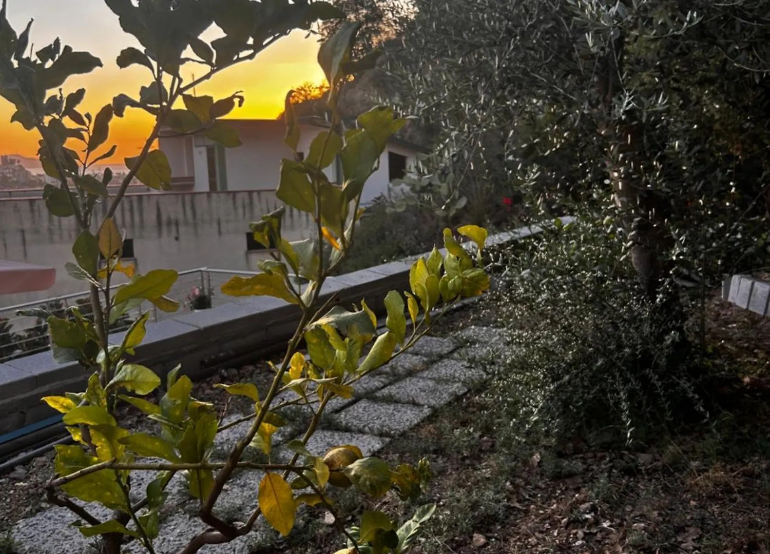Townhouse Piraino Bed and Breakfast Brolo 0*,  Italien
